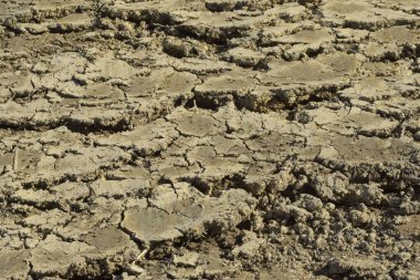 Kurumuş toprak yaz mevsiminde sıcağında ve kuraklıkta.