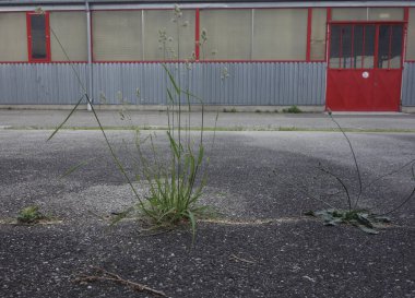 Sektörde ekonomik kriz ve durgunluk, zenginlik ve refahın göstergesi