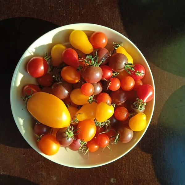 Odrůda Žlutých Zelených Oranžových Červených Rajčat Různých Tvarech — Stock fotografie