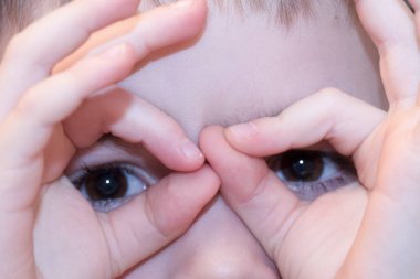 İnsan gözü, görsel algı için duyu organı.