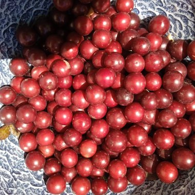 Taze ve olgun kızılcıklar, kırmızı derili böğürtlenler