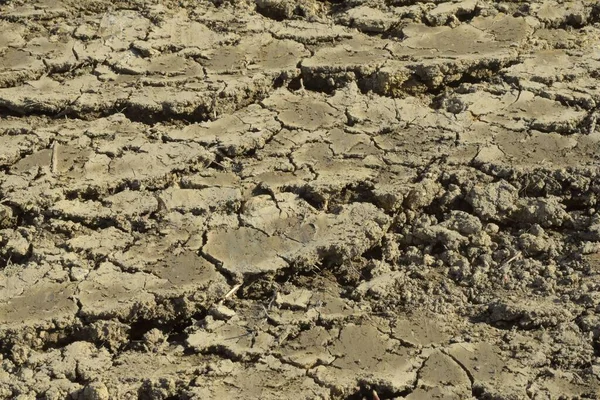 土壤压实或土壤结构退化是农业中的一个问题 — 图库照片