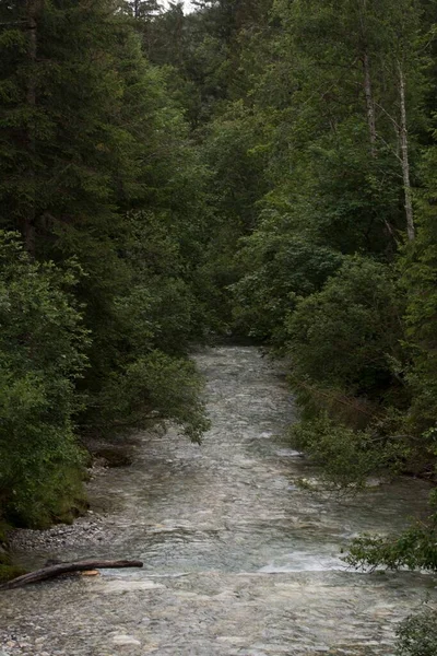 自然景观中的河流或溪流和河水 — 图库照片