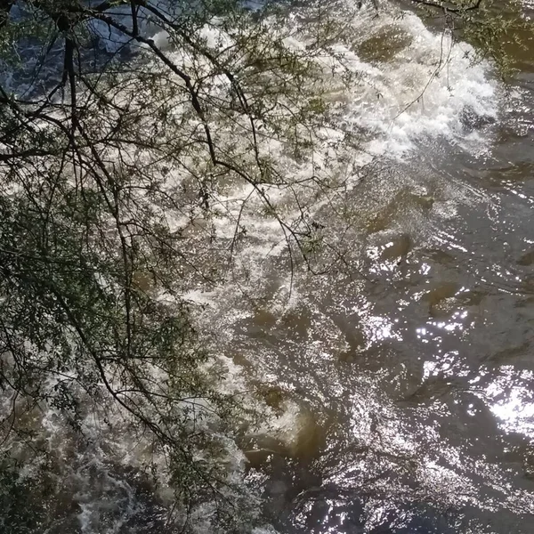 Ein Fluss Oder Bach Und Flusswasser Einer Natürlichen Landschaft — Stockfoto