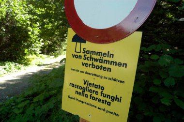 ban on mushroom picking sign, it is prohibited to pick mushrooms in this area