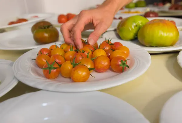 모양의 노란색 오렌지색 빨간색 토마토의 종류가 다양하다 — 스톡 사진