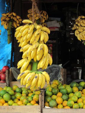 Çiçek açan bitkilerde tohum taşıyıcı yapı olarak meyve ve sağlıklı beslenmenin bir parçası