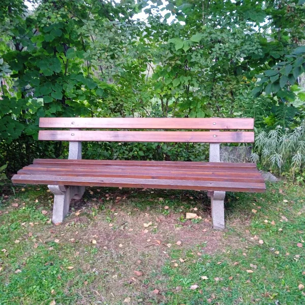 Garden Bench Park Bench Furniture Outdoor Seating Relaxing Enjoying Nature — Stock Photo, Image