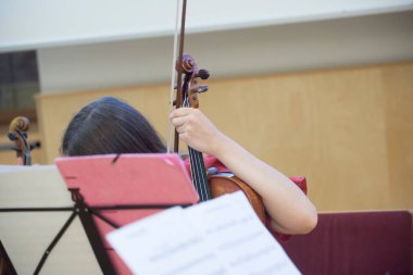 Viyolonsel ya da keman, yaylı telli çalgı.