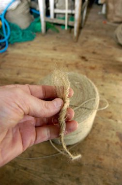 industrial hemp fibers for the production of ropes and strands
