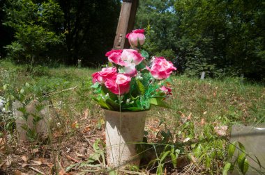 Dekoratif amaçlar ve güzelleştirme için plastik çiçekler veya yapay çiçekler
