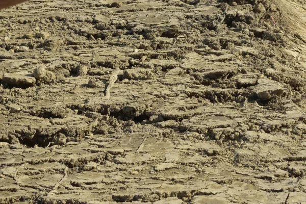 Compactação Solo Degradação Estrutura Solo Como Problema Agricultura — Fotografia de Stock