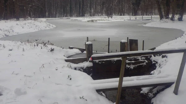 Lac Paysage Naturel Froid Avec Eau Hiver — Photo