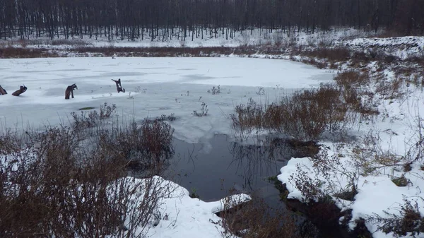 Lac Paysage Naturel Froid Avec Eau Hiver — Photo