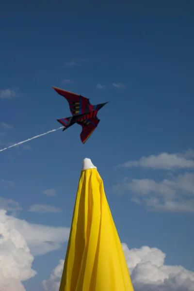 Kite Flying Summer Leisure Activity Windy Weather Conditions — Fotografia de Stock