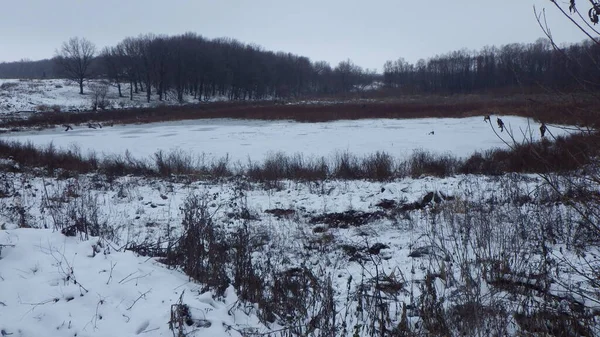 Een Meer Koud Natuurlijk Landschap Met Water Winter — Stockfoto