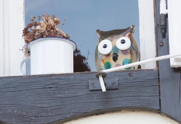 Een Uil Als Solitaire Nachtelijke Roofvogel — Stockfoto