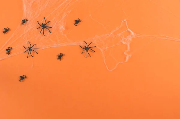 Halloween Background Cobwebs Spiders Copy Space — Stock Photo, Image