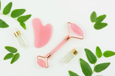 Yağ ve yeşil yapraklı beyaz bir arka planda yüz masajı gua sha için Jade masaj silindiri. Güzellik teması