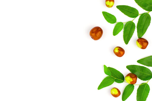 Ziziphus seeds on a white background. Fruits and leaves of jojoba on a white background. Chinese date fruit
