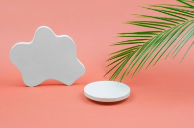 Paketleme için boş bir vitrin. Palmiye dallı doğal taştan yapılmış ürünlerin ve kozmetik ürünlerin sunumu için yuvarlak podyum. Kozmetik güzellik gösterisi