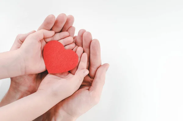 Handen Van Vader Zoon Houden Rood Hart Witte Achtergrond Hart — Stockfoto