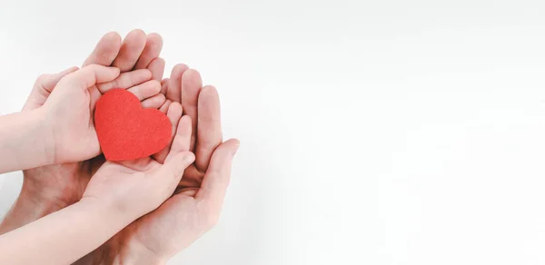 Handen Van Vader Zoon Houden Rood Hart Witte Achtergrond Hart — Stockfoto