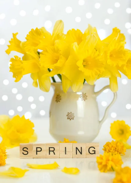 Carte Postale Printemps Tasse Avec Bouquet Jonquilles Mot Printemps Cubes — Photo