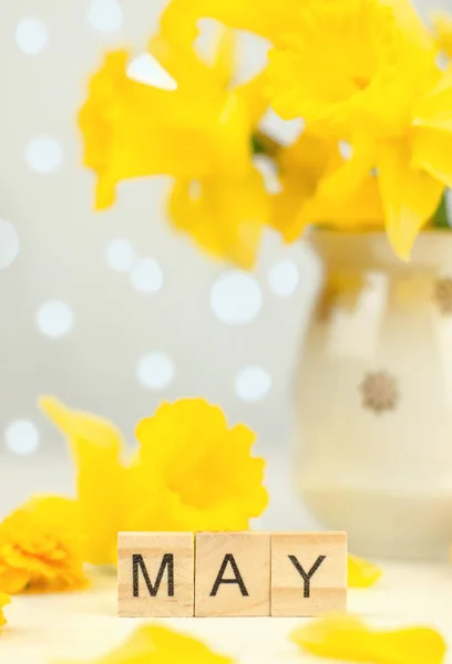 Spring Postcard Jug Bouquet Daffodils Word May Wooden Cubes Selective —  Fotos de Stock