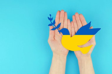 Ukrayna bayrağı renginde filizi olan bir güvercin kadın ellerinde. Barışın sembolü.