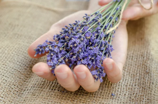 Bouquet Fresh Lavender Female Hands Selective Focus — Stock Photo, Image