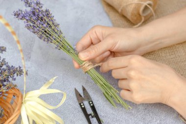 Adım adım, bir kadının ellerinin bir demet lavantayı sicimle bağlarken fotoğrafı. Taze lavanta buketi yapıyorum.