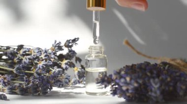 Lavanta yağı. Beyaz arka planda kozmetik bir pipetten yağlı bir damla düşer. Cam düşürücü şişenin modeli..