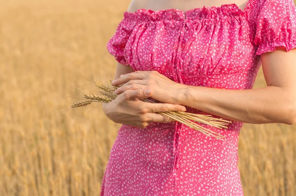 Unrecognizable Woman Wheat Field Holding Spikelets Wheat Her Hands Wheat — Foto Stock