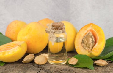 Kayısı ve kayısı çekirdeğinin temel yağı. Kayısı esaslı bir kozmetik şişesi ve ahşap bir masada taze kayısı meyveleri.