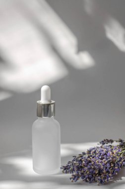 Beyaz lavanta yağı şişesi ve taze lavanta çiçekleri.