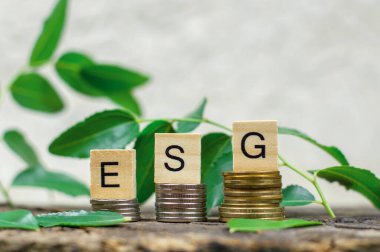 ESG abbreviation on wooden cubes, which are on the coins. The concept of environmental conservation. Environmental Social Governance.