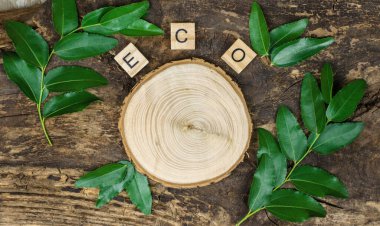 Wooden podium for advertising ecological cosmetic products. Showcase for cosmetic products with green leaves. Top view, mockup