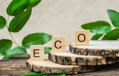 The word ECO on wooden cubes on a background of green leaves. Word ECO on wooden background