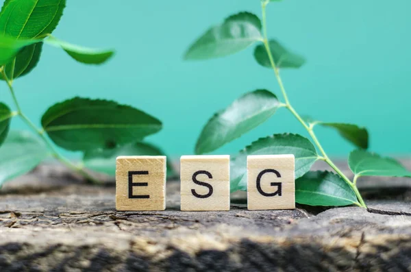 Esg Abbreviation Wooden Cubes Background Green Leaves Concept Environmental Conservation — Stock fotografie