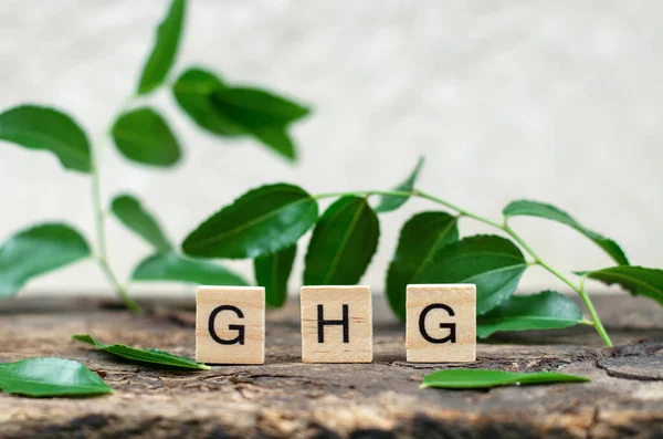Abbreviation Ghg Wooden Cubes Background Green Leaves Greenhouse Gas — Stock fotografie