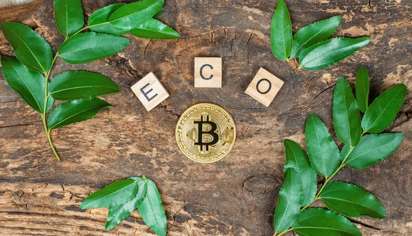 Bitcoin Dřevěném Pozadí Rámovaném Zelenými Listy Nápisem Eco Pohled Shora — Stock fotografie