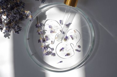 Lavanta vücut bakımı kozmetiklerinin araştırılması ve geliştirilmesi. Pipet ve lavanta çiçekli petri kabındaki jel yapının yan görüntüsü