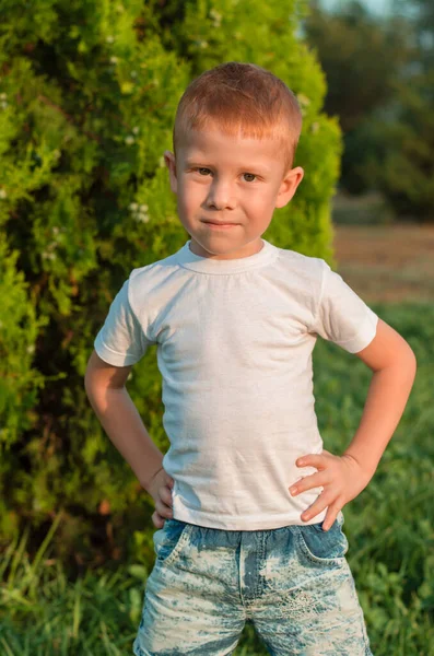 Portrait Five Year Old Red Haired Boy Nature — Foto Stock