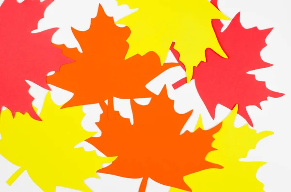Blurred Colored Autumn Leaves White Background Blurred Autumn Background — Stock Photo, Image