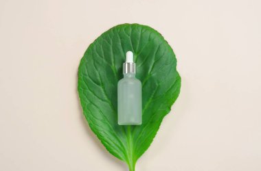 Bej bir arka planda büyük yeşil bir yaprağın üzerinde kozmetik için pipet olan şeffaf bir şişe. Doğal kozmetik konsepti.