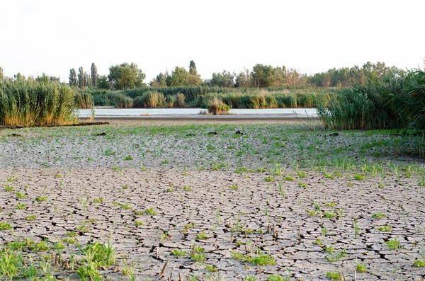 Global water scarcity on the planet. The bottom of a dried lake in Ukraine.