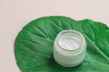 Büyük yeşil bir yaprağın üzerinde eller, yüz ve vücut için açık bir nemlendirici krem kavanozu. Güzellik cilt bakımı ürün şablonu