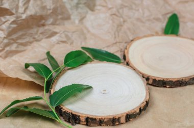 Yeşil yapraklarla çerçevelenmiş doğal kozmetik ürünlerinin sunumu için ahşap podyumlar. Kozmetik ürünlerinin sunumu için doğal ahşap çerçeveden podyumlar, maketler