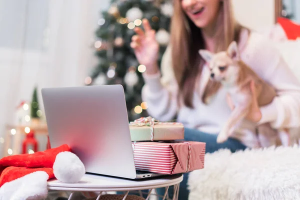 Wesołych Świąt i szczęśliwego Nowego Roku. Kobieta i szczeniak w swetrze o wideo rozmowy na laptopie, cieszyć się zimą w domu z choinką. Prezenty i pudełka prezentów — Zdjęcie stockowe